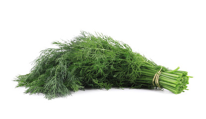 Close up of fresh dill herb.