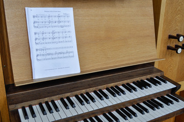 organo a canne