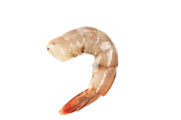 Fototapeta premium One raw shrimp.