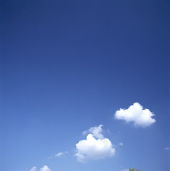 The image of beautiful nature