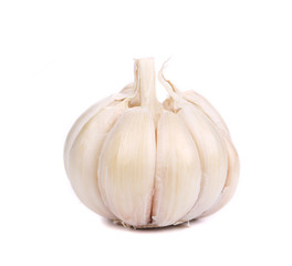 Head of garlic.