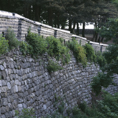 The image of beautiful nature