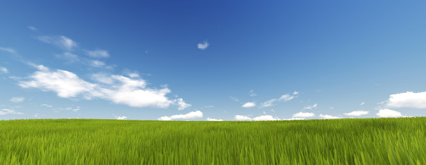 Obraz na płótnie Canvas Panorama of Green Grass with cloud and the blue sky. 3d render 
