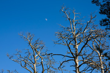 beatiful blue sky