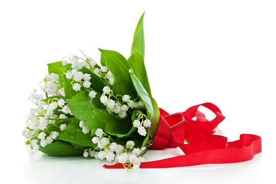 Fr&uuml;hlingsblumen