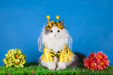 cat in costume bee