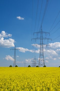 Hochspannungsleitung im Rapsfeld