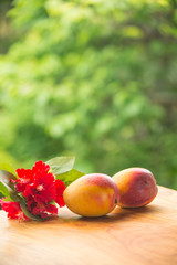 新鮮なマンゴー