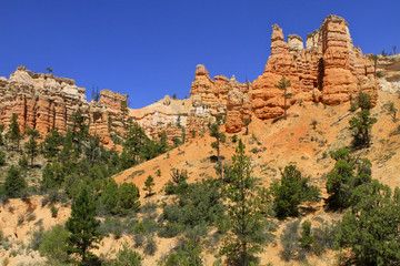Fototapeta na wymiar mossy cave trail à Bryce Canyon