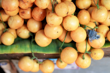 Marian plum fruit - asia fruit