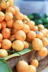 Marian plum fruit - asia fruit