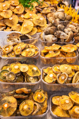 Funghi in vendita,Barcellona, Spagna