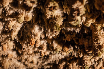 Mineral wall