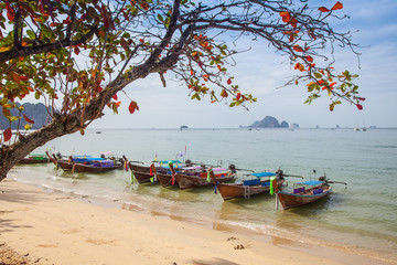 Fototapeta na wymiar Tropical beach, longtail boats, Andaman Sea, Thailand