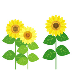 ひまわり / vector AI