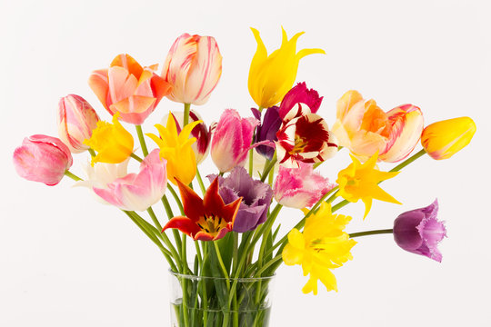 colorful bouquet of tulips of different forms