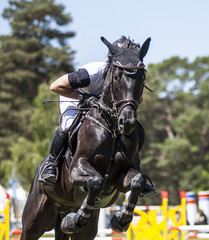 Action CSO