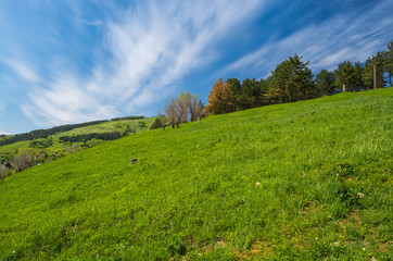 Obraz premium Landscape