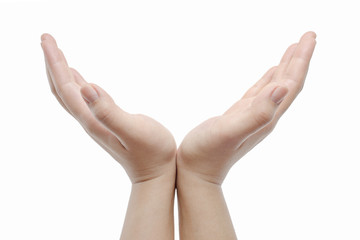 opened hands on white background