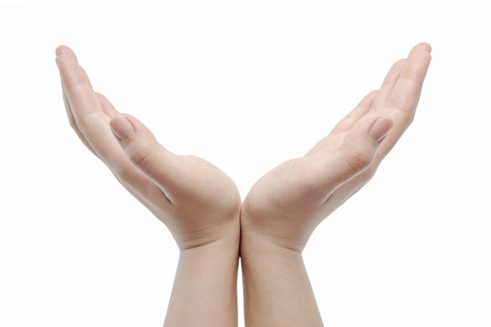 opened hands on white background