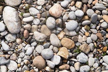 abstract background with dry round reeble stones