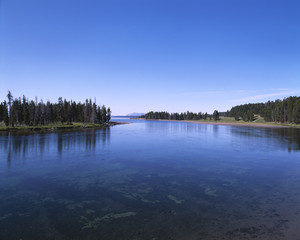 The image of beautiful nature