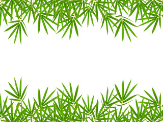 bamboo leaves isolated on white background