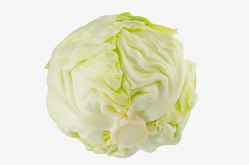 Fototapeta premium cabbage