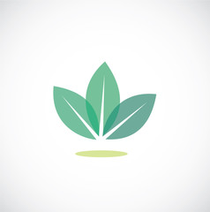 leaves icon vector