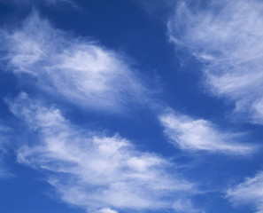 The image of beautiful nature