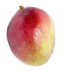 mango on a white background