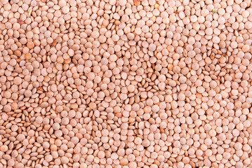 Brown lentil background