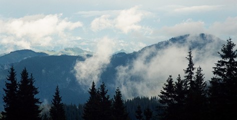 Beautiful nature