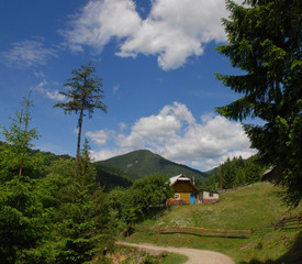 Beautiful nature