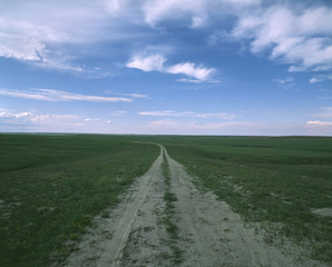 The image of beautiful nature