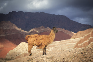 Quebrada de Cafayate, Salta, Argentina © sunsinger