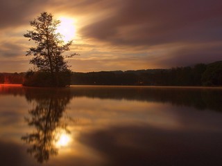 Night view to island with tree above water level. Full moon