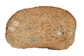 Moldy bread. Isolated on white background