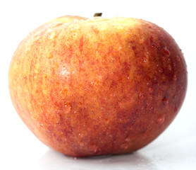 red apple on a white background