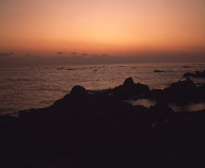 Fototapeta premium The image of beautiful nature