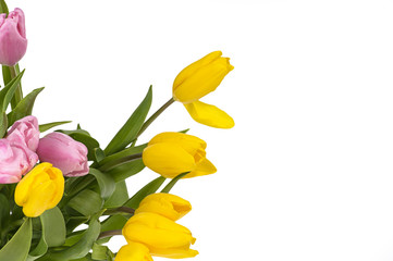 Colorful bouquet of fresh spring tulip flowers isolated on white
