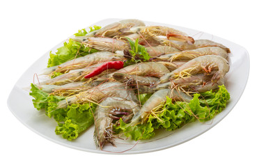 Raw tiger shrimps