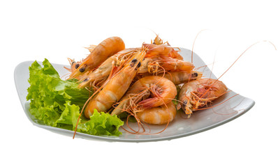 Big tiger shrimps