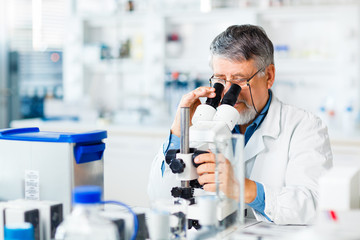 senior male researcher carrying out scientific research in a lab