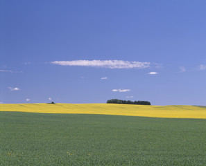 Obraz premium The image of beautiful nature