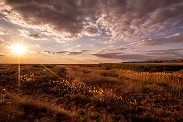 Sunset in the steppe of Kazakhstan