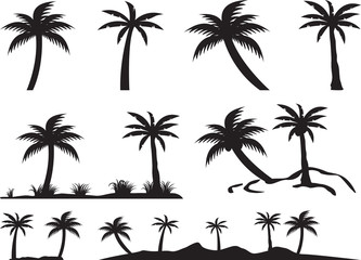 Palm trees and islands illustrated on white