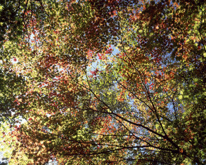 The image of beautiful scenery