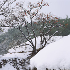 The image of beautiful scenery