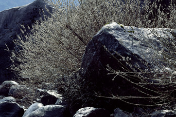 The image of beautiful scenery